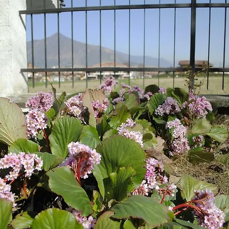Ferienhaus Mirelia Rosta